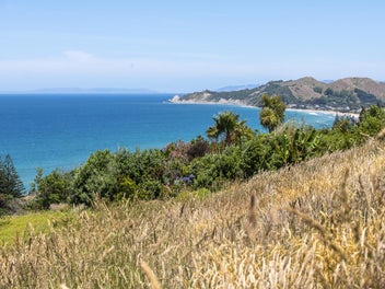 A Rare Opportunity -