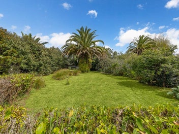 The Kiwi Dream