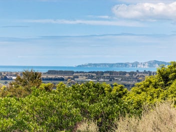 An Elevated Canvas for Something Exceptional