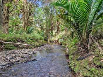 104.2907ha of Pure Parua Bay Paradise