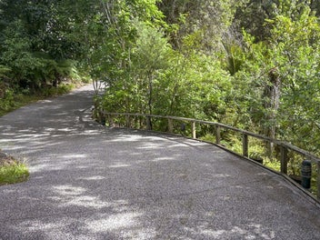 Where Native Bush Meets the Sea