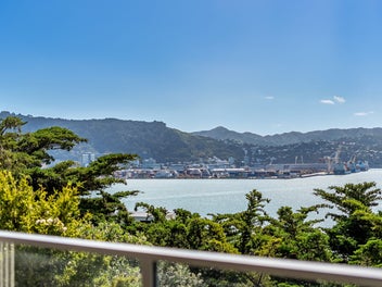 ABOVE ORIENTAL BAY - SUN & VIEWS