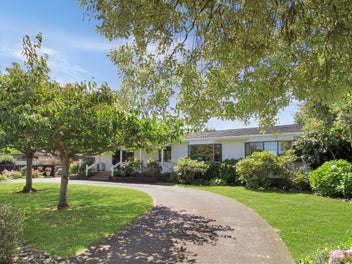 Exceptional Opportunity