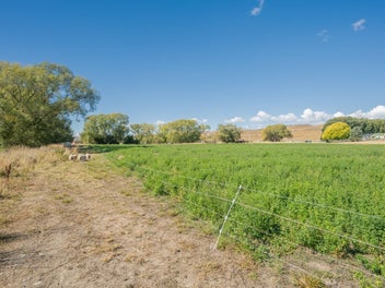 Ready to Enjoy or Build