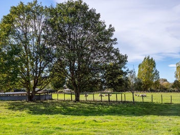 Bareland opportunity in Longbush