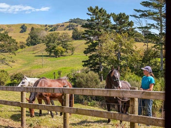 Ultimate kid zone - let the adventures begin!