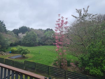 Image 1 of 11