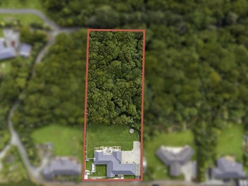 SERIOUSLY STUNNING OTATARA SANCTUARY