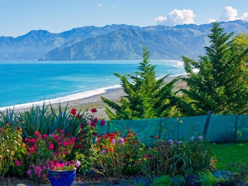 Unrivalled Views