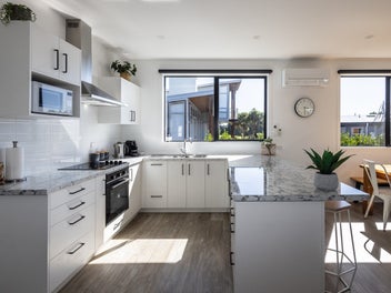 Sophistication on Cordyline