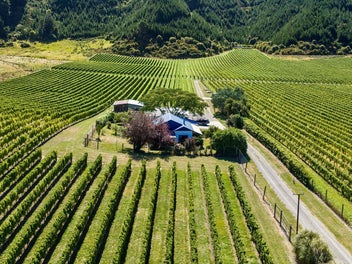 Dual titles create multiple options and income