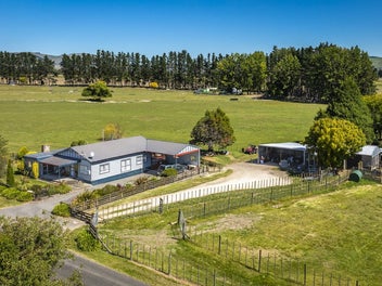Lifestyle living with serious shedding