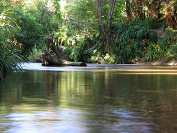 Lifestyle, Income and World-class Trout Fishing