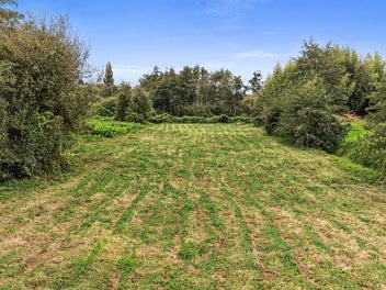 Classic Quarter Acre, No Covenants