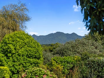 Loving the village lifestyle