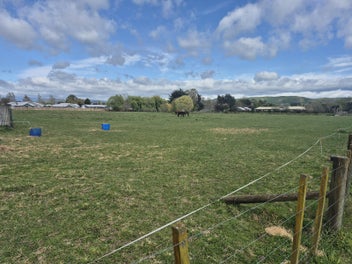 Image 1 of 7