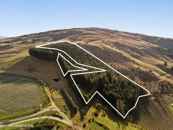 Views Across Orchards & Hills