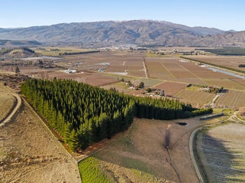 Views Across Orchards & Hills