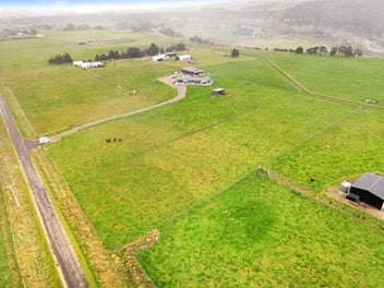 Dream Lifestyle Block -3.84 Acres in Kiwitea.