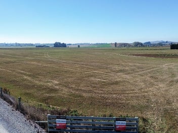 Dreams Are Made Of This!