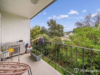 Brilliant Opportunity In Petone