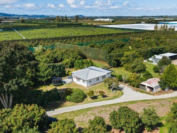 Avocado income with lifestyle living