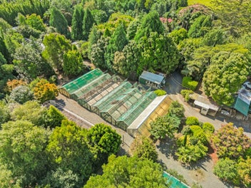 The Legacy Of Potential: 412 Kerikeri Road