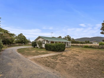 Slice of the Future !!