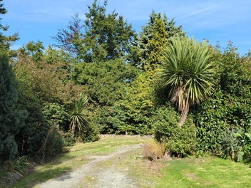 More section on Moore St