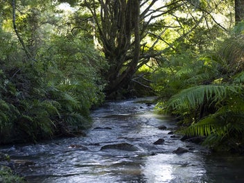 12HA OFF-GRID LIFESTYLE TREASURE