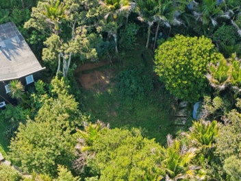 Anchor the Boat. Walk Home