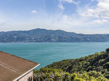 SUPER SUNNY STARTER | BEO $595,000