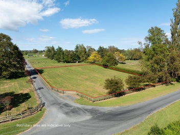 The dream starts here!