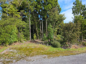 Image 1 of 15