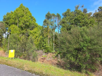 Birdsong, Bush & Beauty - Lifestyle Opportunity