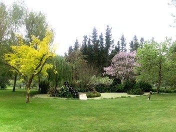 Hastings Rural - Lifestyle & Income