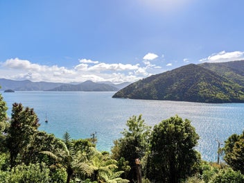 Private paradise with established income