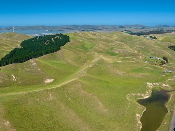 Grazing or Lifestyle - Both Options on Offer...