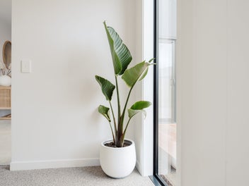 Your Elevated Lifestyle Awaits!