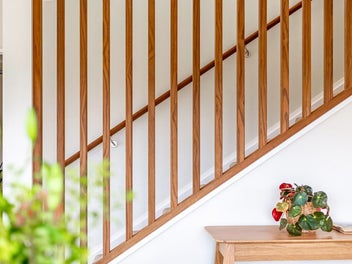 A Rare Entry into Anderson Park