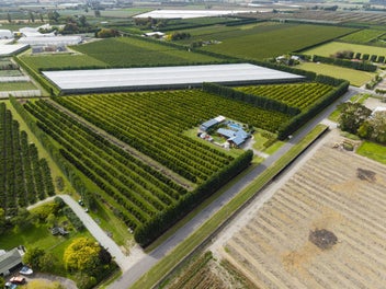 The complete package