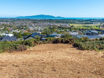 SECTION - PANORAMIC VIEWS