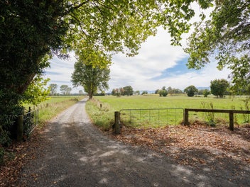 Image 1 of 21