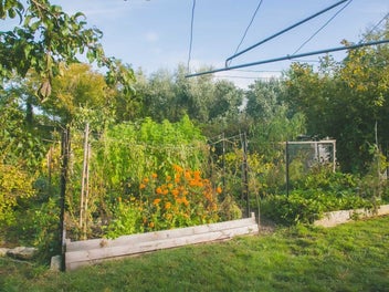 Urban Food-Forest Property