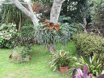 Small Village Living in Naike - Big Section