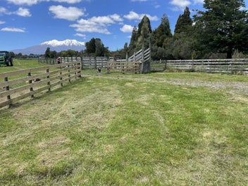 Image 1 of 13