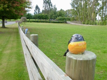 Immaculate Homestead Road lifestyle property