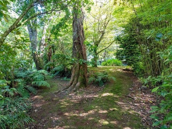 A RESIDENTIAL GARDENERS TREE LOVERS PARADISE