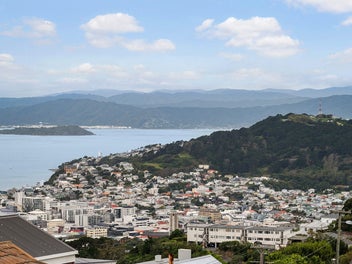 Brooklyn Living with a View