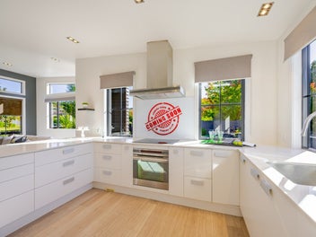 Nothing else like this